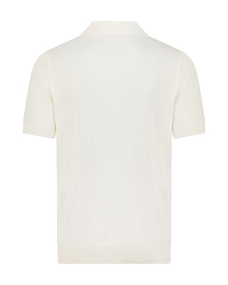 The Polo — image 15