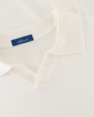 The Polo — image 14